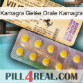 Kamagra Gelée Orale Kamagra new06